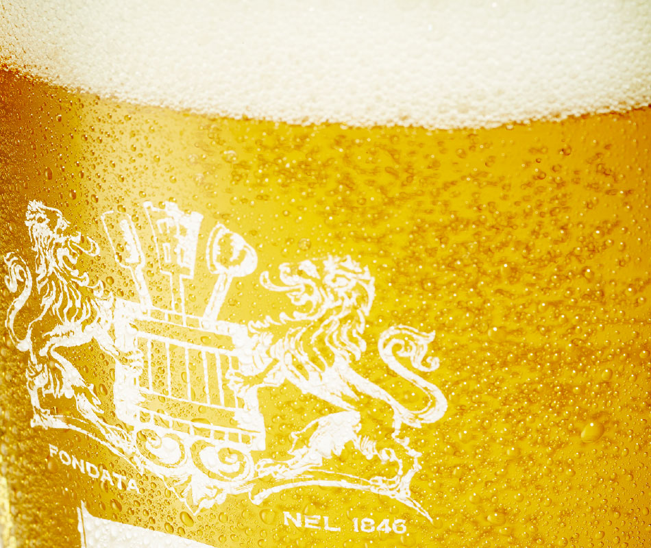 close up of a pint of lager